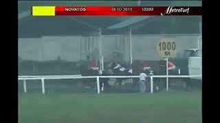 Mmtci 060214 Novatos