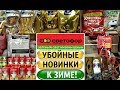 Ура‼️Я нашла ещё один🚦СВЕТОФОР 💥Зимние НОВИНКИ