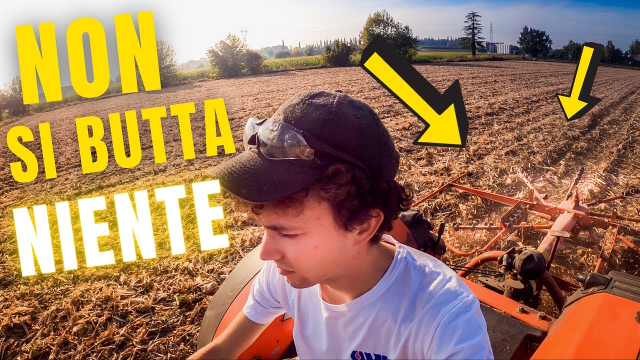 Trebbiatura Mais 2020 | Trinciatura, Ranghinatura ed Imballaggio Stocchi | Filips Country