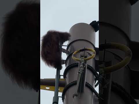 オランウータンとカラス　夏の旭山動物園 / Japanese Macaque in Asahiyama Zoo.