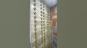 Tile leveling system #tile #tiling #shower #tiles #tileshop
