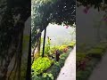 #RainyDays #RainLovers #MonsoonVibes #RainyMood #LetItRain #Raindrops #RainyWeather #RainPhotography