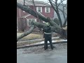 A Chainsaw Cutting Through Wood is the Sweetest Sounds on Earth