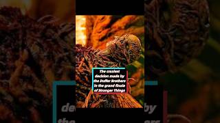 The Craziest Decision Made By The Duffer Brothers In The Grand Finale Of Stranger Things