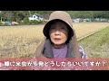 米糠にわいた米虫　どうしたらいいですか