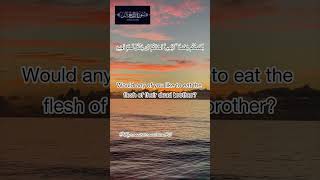 Surah Hujurat Ayat 12 shorts quran fatihseferagic