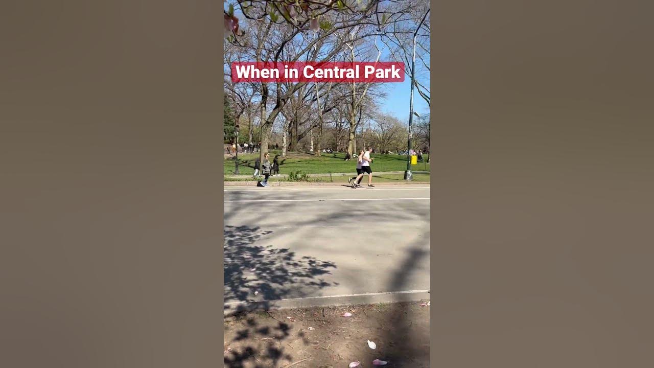 When in Central Park #CentalPark #NYC #NEWYORK #Manhattan #USA #Springfeels #cherryblossom