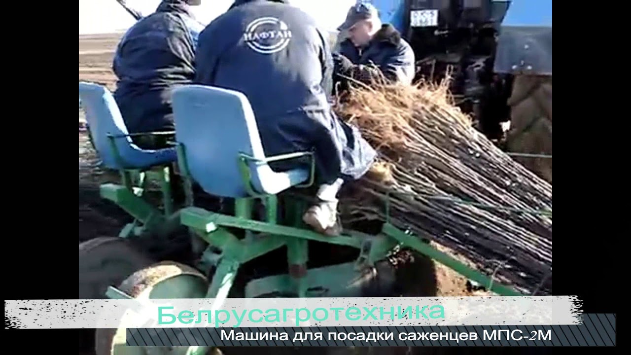 Машина для посадки саженцев
