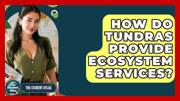How Do Tundras Provide Ecosystem Services? - The Student Atlas