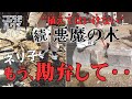 #31【ブロック人力破壊主婦】最悪なストーカー島戸ネリ子。助けて!ビッグ◯ーター!