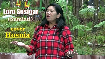 Loro Sesigar (Sumiati) || lagu banyuwangian || cover Hosnia