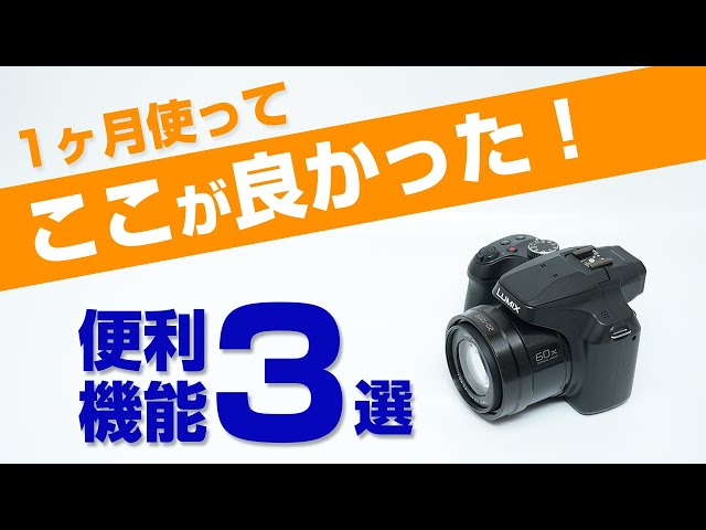 After using the Panasonic FZ85D for a month, I found these to be