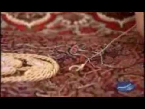 ساقه دوزی بته جقه