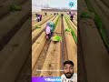 Green onion planting #shortsfeed #shortvideo #shorts #planting #farming #viralshorts