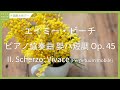 Miniature de la vidéo de la chanson Piano Concerto In C-Sharp Minor, Op. 45: Ii. Scherzo: Vivace (Perpetuum Mobile)