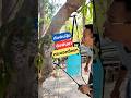 ถังพ่นปุ๋ย ถังพ่นยา กระบอกฉีดยา#ถังพ่นปุ๋ย #ถังพ่นยา #กระบอกฉีดยา #NissanMarch #DiYบ้านนอก