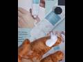 Hand Cream | Dream cream| Oriflame| Use and review
