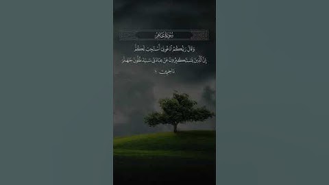 ( وقال ربكم ادعوني أستجب لكم ) القارئ عبدالله الموسى