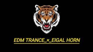 EDM Drop Remix × Trance × EIGAL HORN 🎧👑🔥 (DEEJAY ROHIT REMIX)