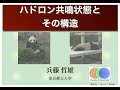 兵藤哲雄 氏『ハドロン共鳴状態とその構造』1/3 (2021 ハドロン講義)