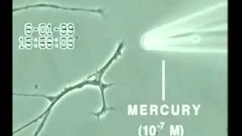 Nerve post Mercury.wmv