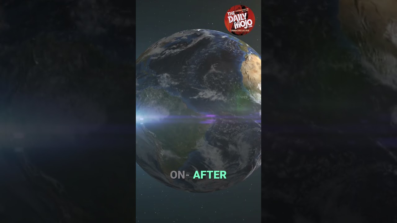 NASA Rover Photos: Insect & Reptile Life on Mars? #shorts