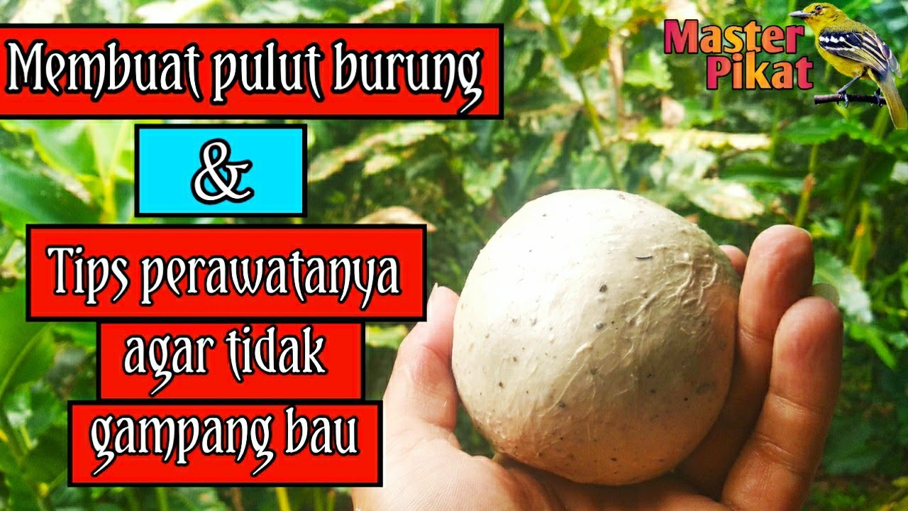 Bau Tidak Keringat Agar Cara Bau Tidak Keringat Agar Cara