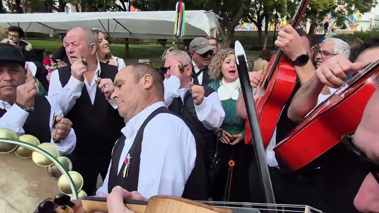 PANDA DE MOCLINEJO EN ALGARROBO