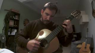 se io m-accorgo (anonymus) lute tuning