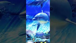 #dolphin #underwater #viral #shorts #trending