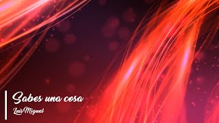 Luis Miguel - Sabes una cosa [Love]