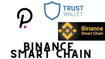 How to use Trust Wallet With BNB BUSD DOT Polkadot - BSC Yield Farming