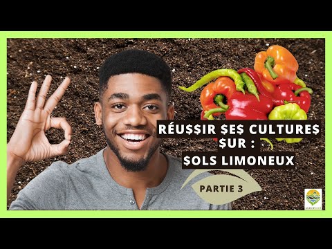 Vidéo: Le sol limoneux est-il bon pour la croissance des plantes ?