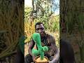 Funny Toy Cactus Play 🌵😂 #viralvideo #ToyCactus #funny #comedy #emotionalmoment