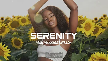 Afrobeat Instrumental 2022 "Serenity" (Joeboy ✘ Davido Type Beat)