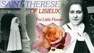 NOVENA TO ST THERESE OF LISIEUX | DAY 7