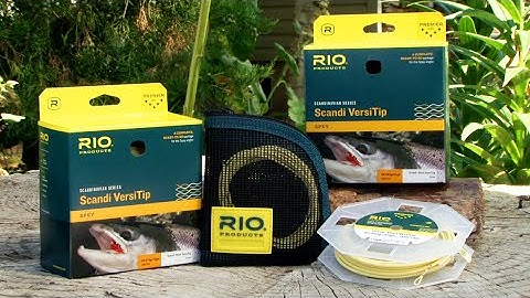 RIO Scandi Short VersiTip Shooting Head Fly Line
