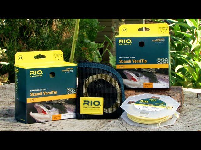 RIO Scandi Short VersiTip Shooting Head Fly Line