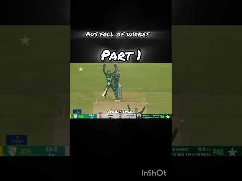 aus fall of wicket part 1 #cricket
