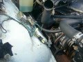 Работа форкамерного двигателя 4022 на ГАЗ 3102, часть 2