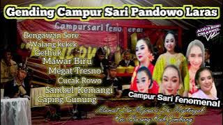 Gending campur Sari Pandowo Laras Full Album
