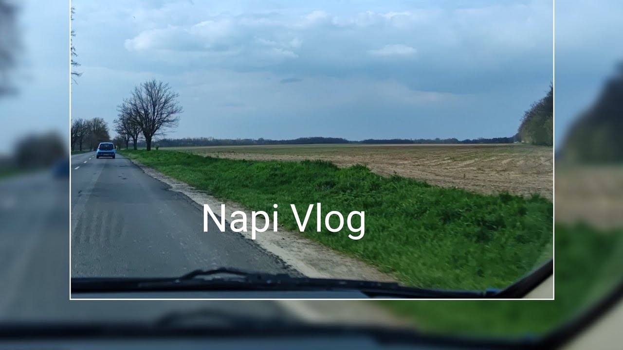 Napi Vlog / Vekszi Világa