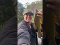 TENCH FISHING 🎣 🇦🇺 #carpfishing #tenchfishing #riverfishing #creekfishing #streamfishing