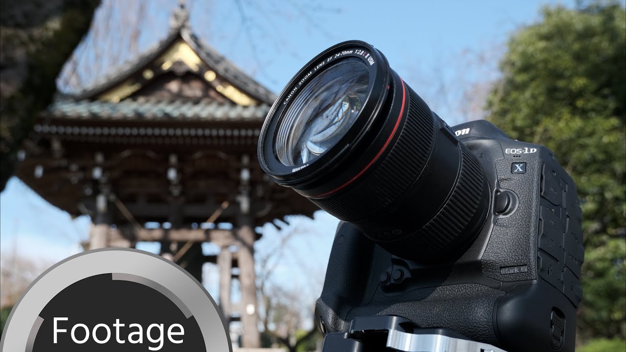 キャノン 1D　marklll 作例有 キヤノン EOS-1D X Mark III レビュー | 北の大地を飛び回る鳥たちを