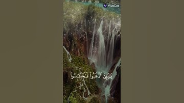 القارىء الشيخ ياسر الدوسري #القرآن_الكريم #تلاوة_خاشعة