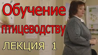 Лекция о птицеводстве | Обучение птицеводству