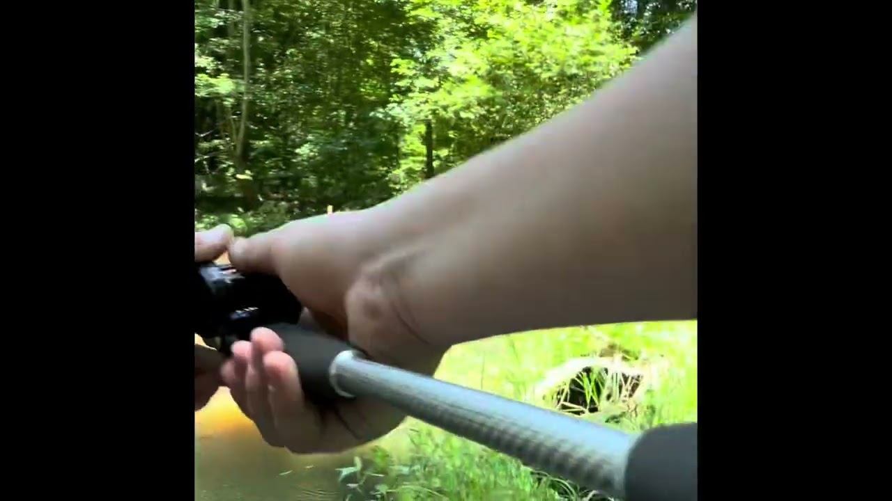 Bass fishing