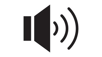 Tortured Distorted Scream Sound Effect 865