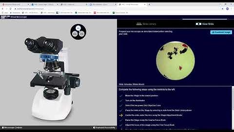 HOL VScope Demo: How to use the Virtual Microscope