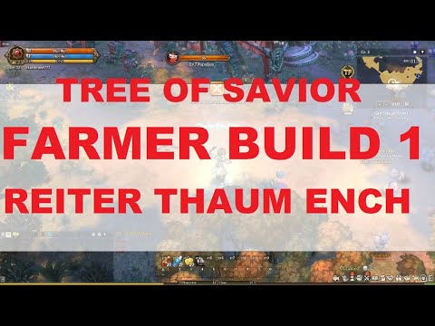 TOS BUILD -  SchwarzerReiter Thaumaturge Enchanter